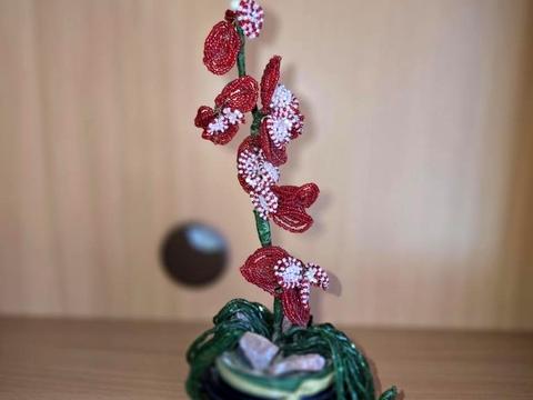 квартира за адресою Милославська вул., 47