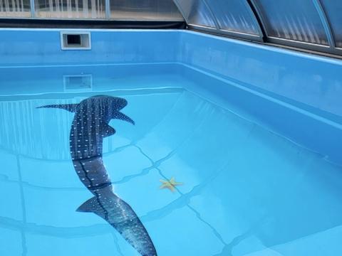 будинок за адресою Євгена Коновальця вул. ()