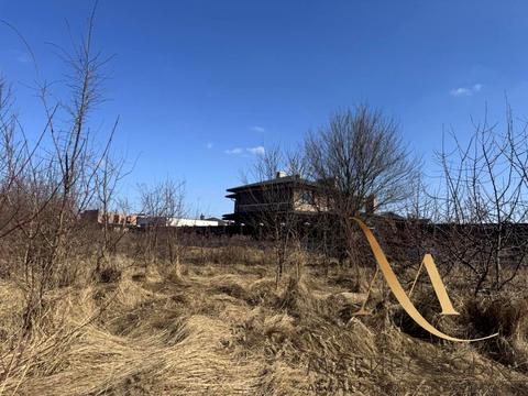 ділянка за адресою с. Конопниця, Івасюка вул.