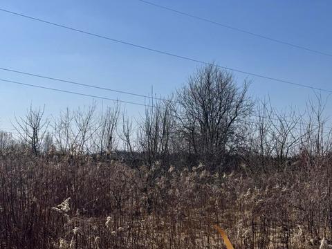 ділянка за адресою с. Конопниця, Івасюка вул.