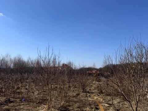 ділянка за адресою с. Конопниця, Івасюка вул.