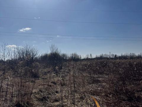 ділянка за адресою с. Конопниця, Івасюка вул.