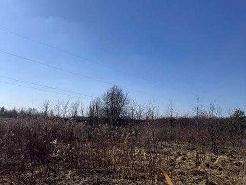 ділянка за адресою с. Конопниця, Івасюка вул.