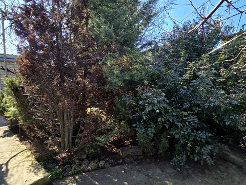 ділянка за адресою Святослава Ріхтера вул. (Щорса)