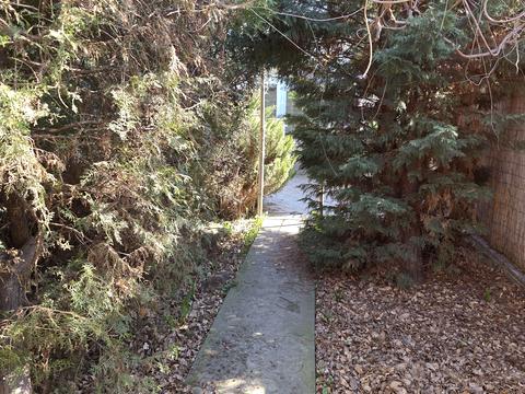 ділянка за адресою Святослава Ріхтера вул. (Щорса)