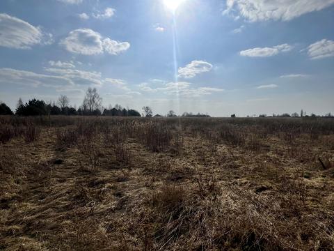 ділянка за адресою Щолбіна