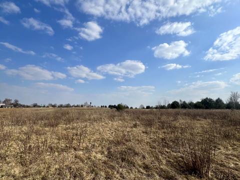 ділянка за адресою Щолбіна