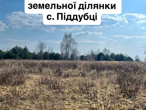 ділянка за адресою Щолбіна