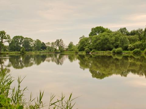 ділянка за адресою Лесі Українки