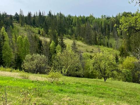 ділянка за адресою 