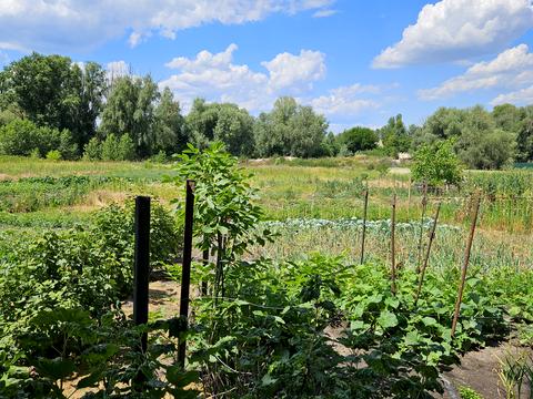 будинок за адресою Гагаріна, 25
