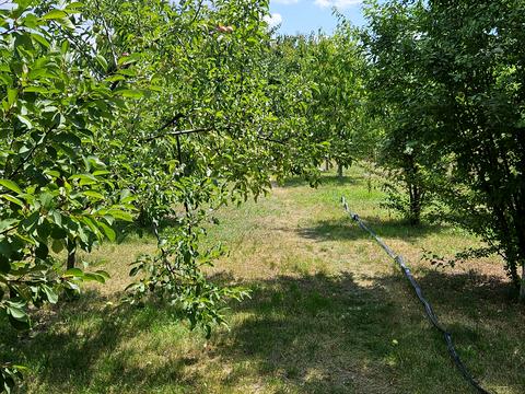 будинок за адресою Гагаріна, 25