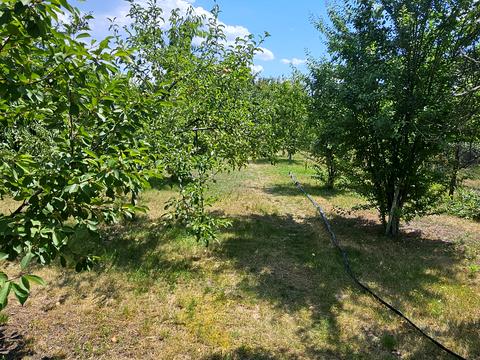 будинок за адресою Гагаріна, 25