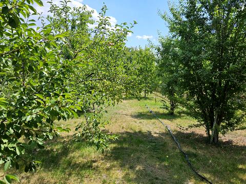 будинок за адресою Гагаріна, 25