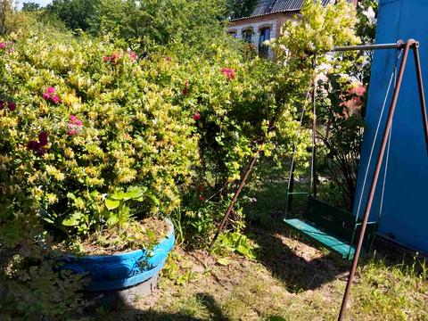 будинок за адресою Вишнева