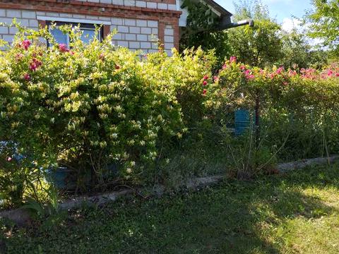 будинок за адресою Вишнева