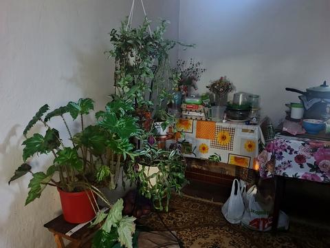 будинок за адресою Шевченка