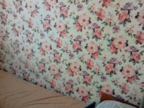 квартира по адресу Новгородская ул. (Новгородская), 12