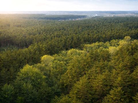 будинок за адресою Єдина