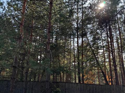 участок по адресу 