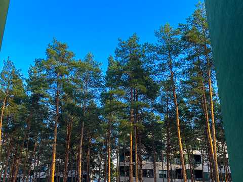 квартира по адресу Богдана Ступки пер., 3