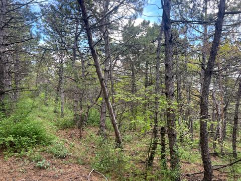 будинок за адресою Центральна