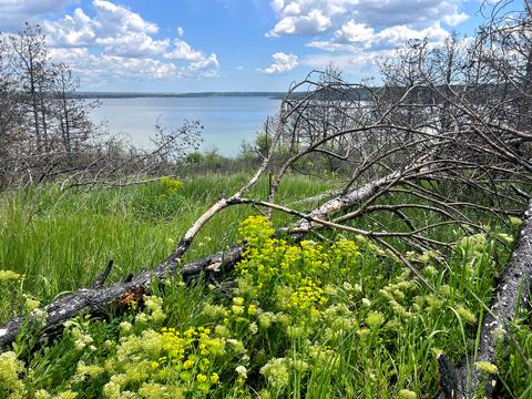 будинок за адресою Центральна