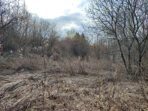 участок по адресу Филиппа Орлика ул.