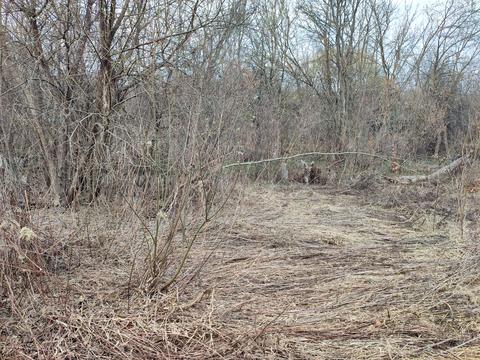 участок по адресу Филиппа Орлика ул.