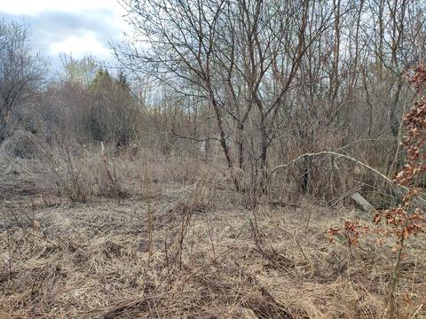 участок по адресу Филиппа Орлика ул.