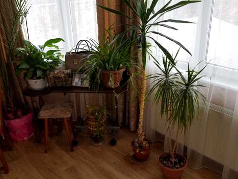 будинок за адресою Висоцького вул., 84