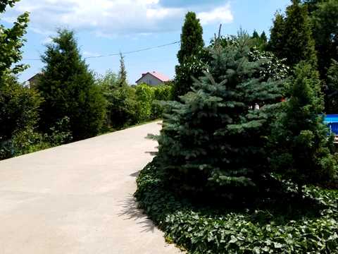 будинок за адресою Висоцького вул., 84