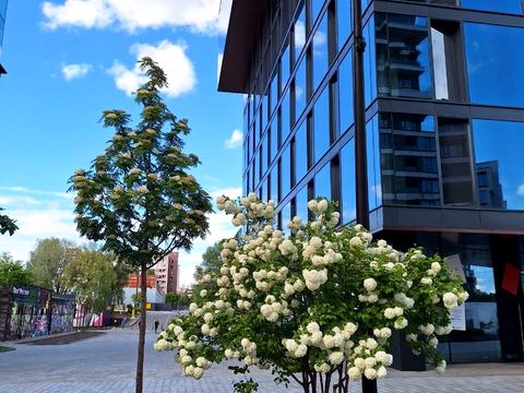 квартира за адресою Ґарета Джонса вул. (Сім'ї Хохлових), 12