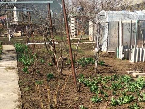 дом по адресу Виноградна, 123