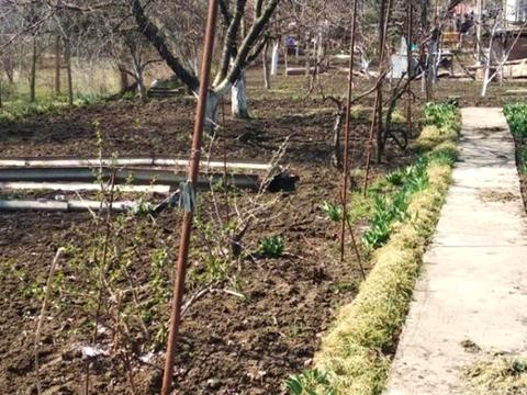 дом по адресу Виноградна, 123