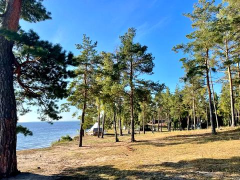 будинок за адресою Центральна