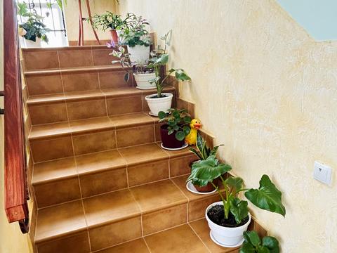 будинок за адресою Франка