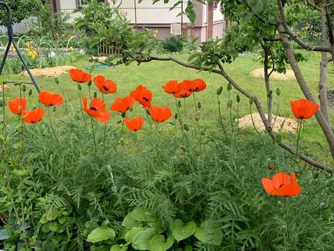 будинок за адресою СТ Рута, 3