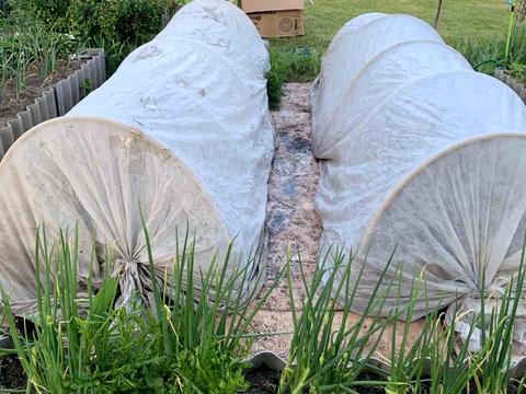 будинок за адресою СТ Рута, 3