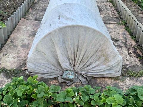 будинок за адресою СТ Рута, 3