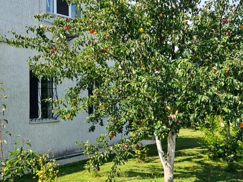 дом по адресу Квітнева, 2