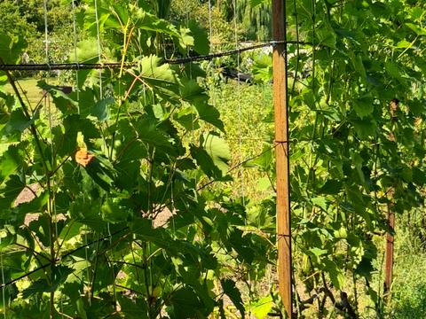 дом по адресу Квітнева, 2