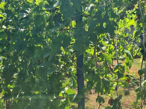 дом по адресу Квітнева, 2