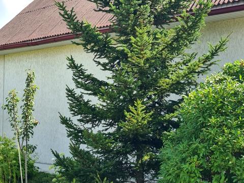 дом по адресу Квітнева, 2