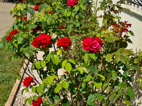 дом по адресу Квітнева, 2