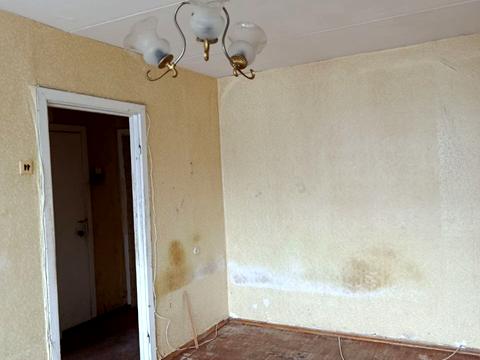 квартира по адресу Рокоссовского маршала просп., 10-А