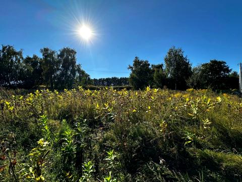 участок по адресу 