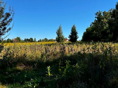 участок по адресу 