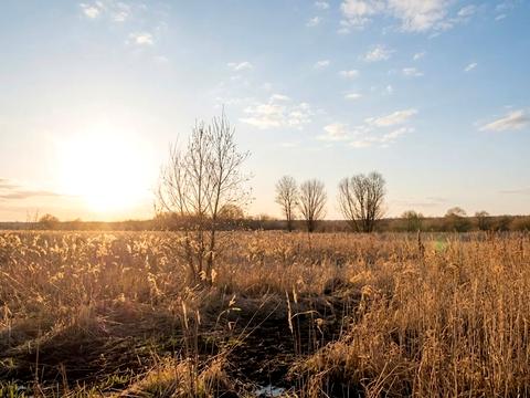 ділянка за адресою Ірпінь, 