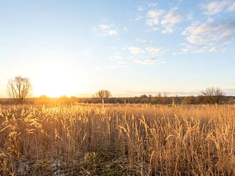 ділянка за адресою Ірпінь, 